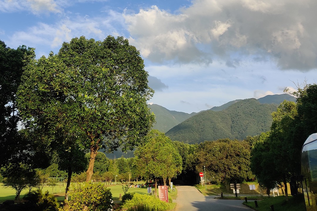 1614240229984369.jpg 1.jpg